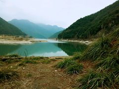 -小芝红树林