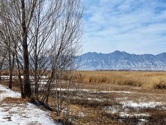 -野鸭湖国家湿地公园
