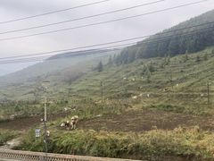 -云座·时光·观景咖啡厅(五爷庙店)