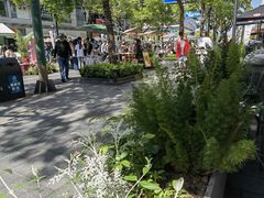 -Wagas沃歌斯(大学路店)