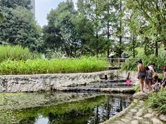 -成都市活水公园