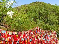 -香山公园