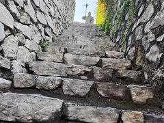 -原山国家森林公园