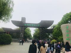 -溱湖国家湿地公园