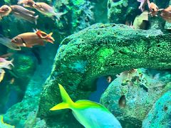 -海合安成都极地海洋公园