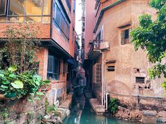 -小洲村