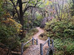 -灵山