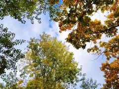 -韩国利尔面包(桂林路店)