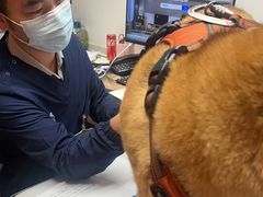 -北京派仕佳德动物医院·超导核磁·CT·神经科·骨科·内外科·急重症管理中心