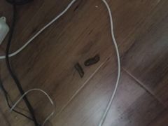 -达爱动物医院·犬猫分区·CT·复杂眼科(远洋山水分院)