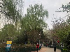 -西安市长乐公园