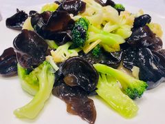 -乡村小镇(新合店)