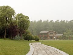 -合肥滨湖国家森林公园