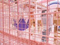 -深圳龙华星河COCO City(民治店)