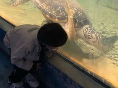 -苏州海洋馆