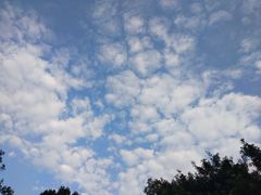 -重庆彩云湖湿地公园