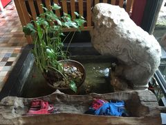 店内招财转运池-旅马餐厅(茅家埠店)