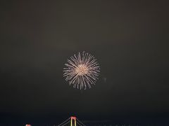 -台场海滨公园船码头