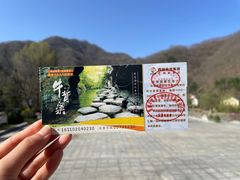 -牛背梁国家森林公园
