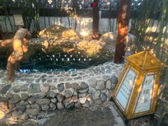 -观唐（国际）度假村温泉