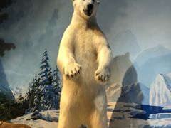 -陕西自然博物馆