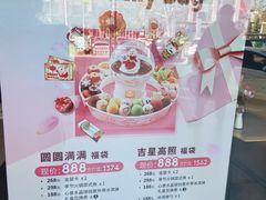 -哈根达斯(石家庄北国店)
