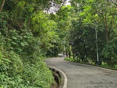 -火炉山森林公园