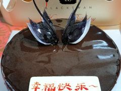 -BLACKSWAN黑天鹅(环球店)