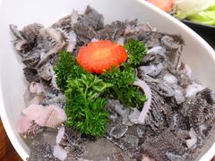 鲜脆毛肚-清真·京华源铜锅涮肉(丰庆店)