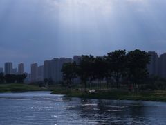 -洋湖国家湿地公园