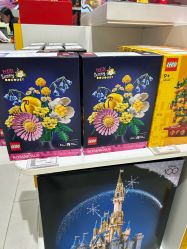 -乐高授权专卖店(中关村领展店)
