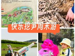 -大塘金香草谷