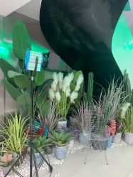 -LESSMORE科技头皮理容中心