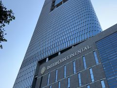 -紫峰大厦
