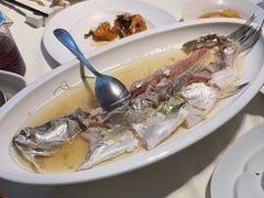 -席家花园(巨鹿花园店)