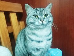 -老北京褡裢火烧·任记