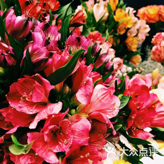 cloris floral(官舍店)图片 - 第1张
