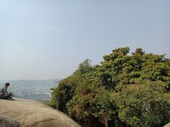 -火炉山森林公园