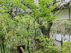 -三千院