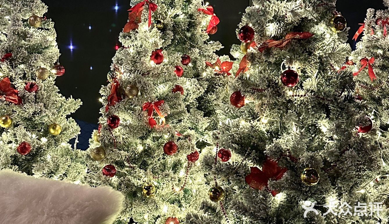 西湖边!室内圣诞树森林🌲好拍还不冷!!