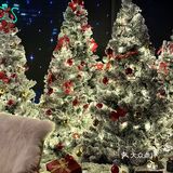 西湖边!室内圣诞树森林🌲好拍还不冷!!