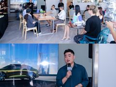 -青岛鸿发智越领克新能源中心