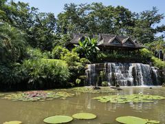 -中国科学院西双版纳热带植物园