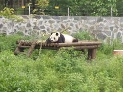 -硗碛藏寨·神木垒景区