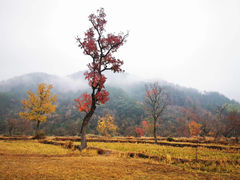 -罗田天堂寨风景区