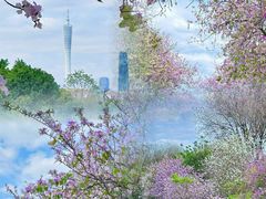 -广东花都湖国家湿地公园