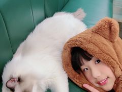 -安格丽娜·狗咖·猫咖羊驼咖(春熙路百盛商场店)