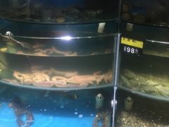 -蟹谢蒸鲜自助餐厅