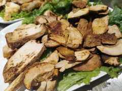 -爱膳菌锅锅(阳南店)