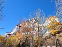 -布达拉宫